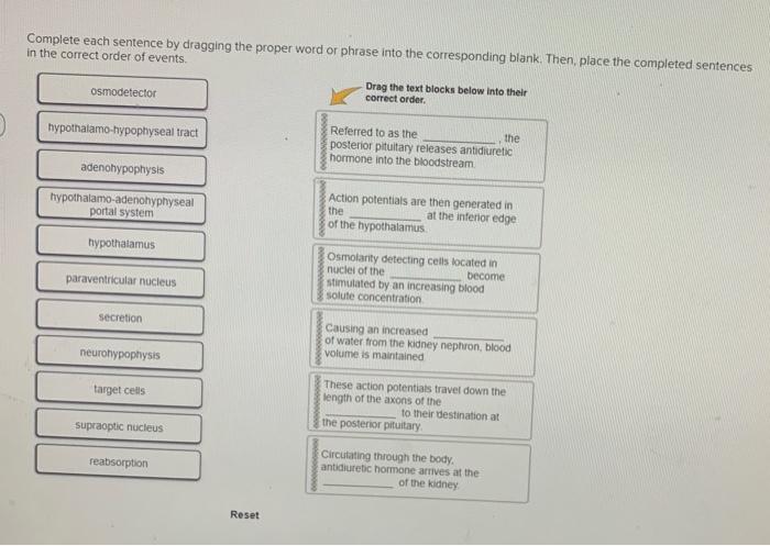 solved-complete-each-sentence-by-dragging-the-proper-word-or-chegg