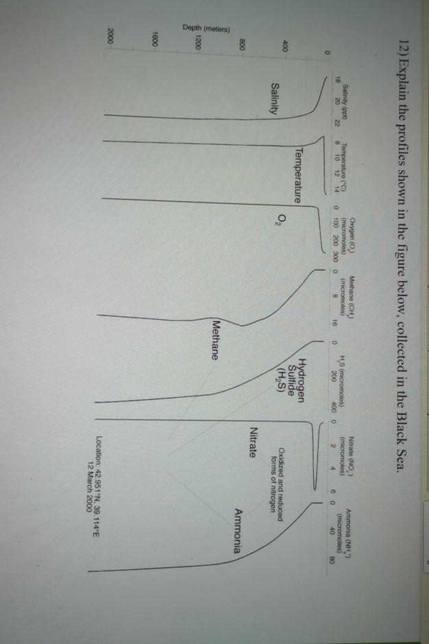 Solved Explain the profiles shown in the figure below, | Chegg.com
