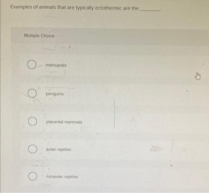 Solved Examples of animals that are typically ectothermic | Chegg.com