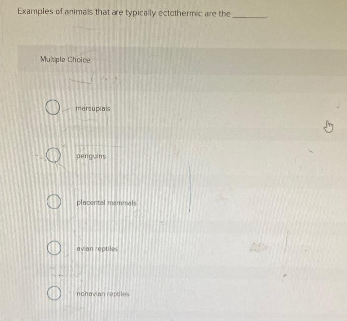 Solved Examples of animals that are typically ectothermic | Chegg.com