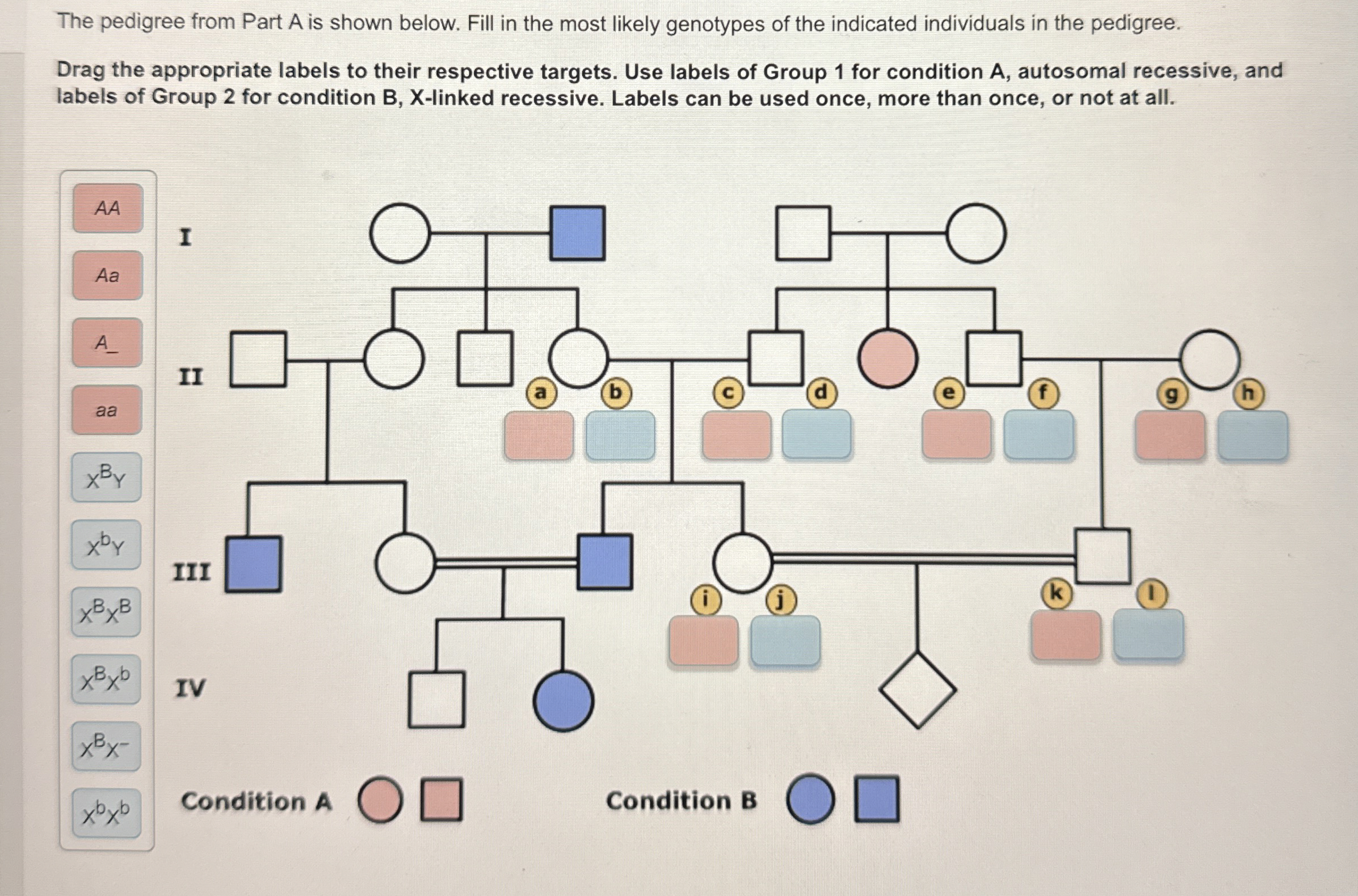 Solved The pedigree from Part A ﻿is shown below. Fill in the | Chegg.com
