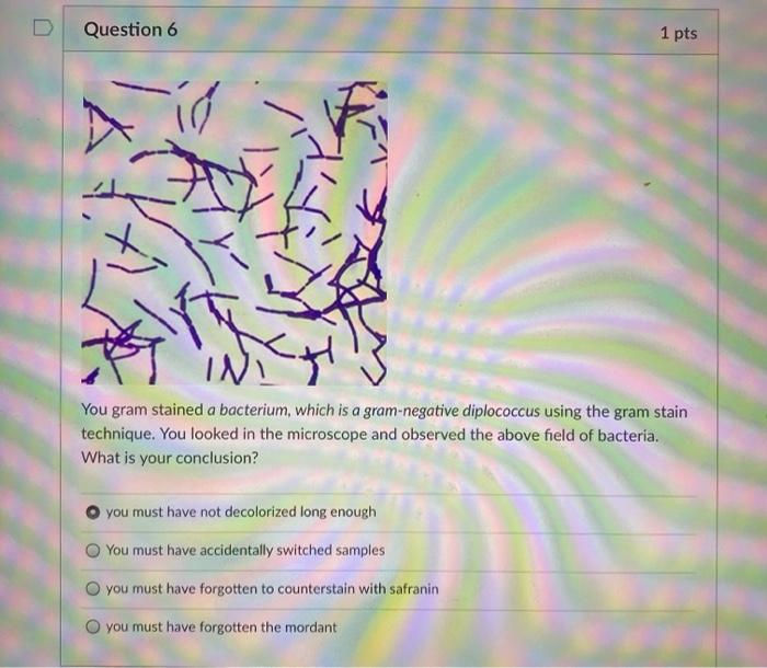 Solved Question 6 1 pts ir IN You gram stained a bacterium, | Chegg.com