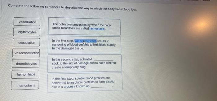 Solved If Anita Is Having Trouble Absorbing Vitamin B-12, | Chegg.com