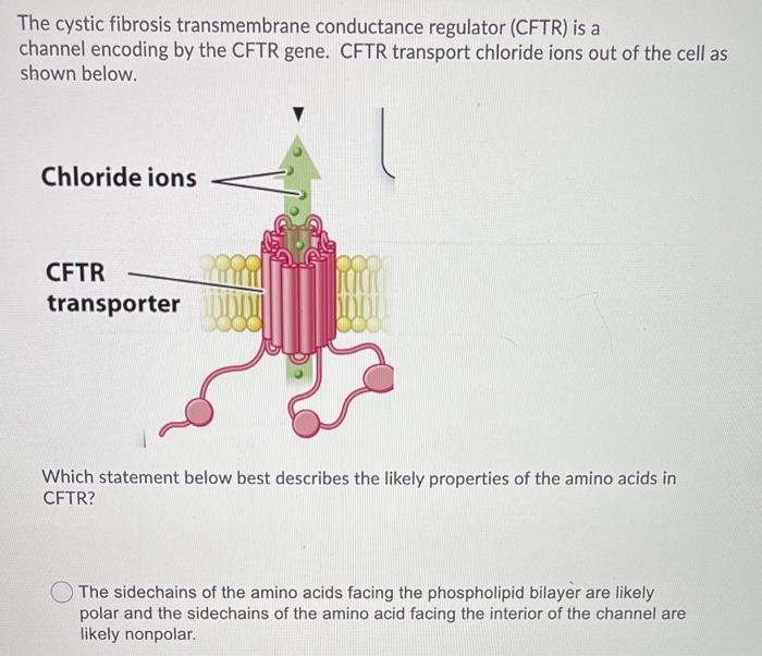 Solved The cystic fibrosis transmembrane conductance | Chegg.com