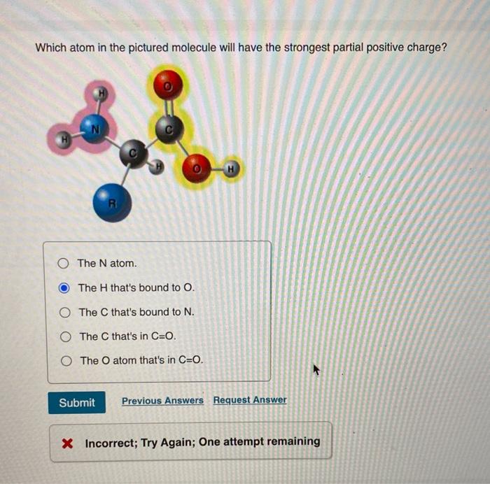 solved-which-atom-in-the-picture-molecule-will-have-fhe-chegg