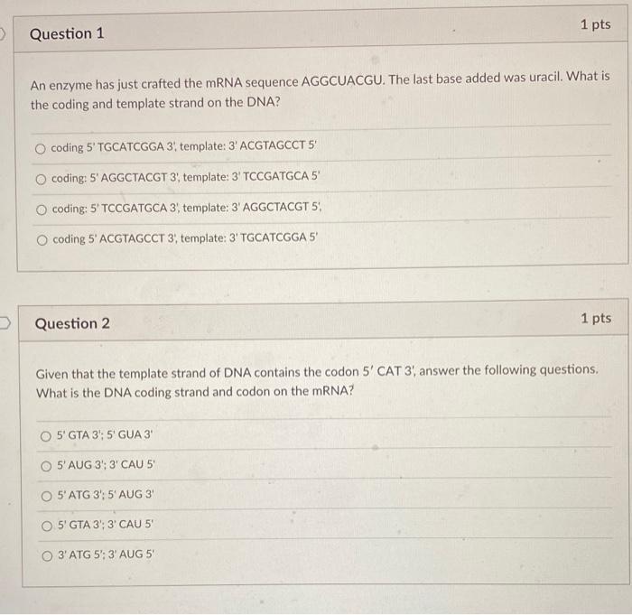 Solved 1 pts Question 1 An enzyme has just crafted the mRNA | Chegg.com