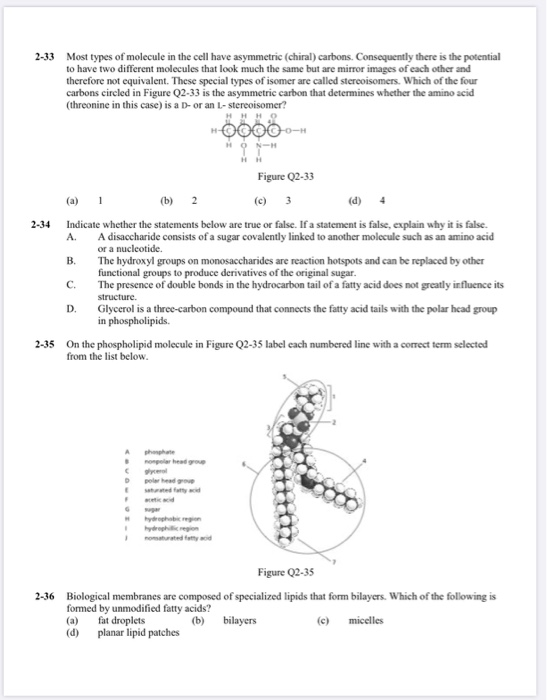 Solved 2-29 The amino acids glutamine and glutamic acid are | Chegg.com