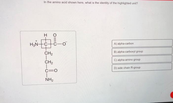 Solved In the amino acid shown here, what is the identity of | Chegg.com