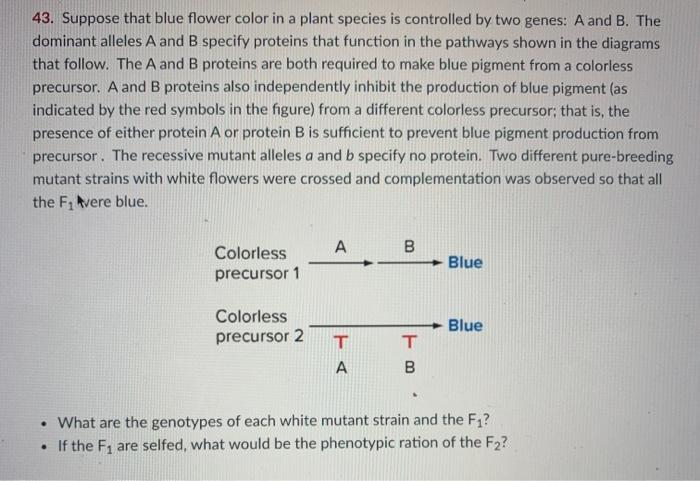 Solved 43. Suppose That Blue Flower Color In A Plant Species | Chegg.com