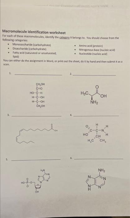 Solved Macromolecule identification worksheet For each of | Chegg.com