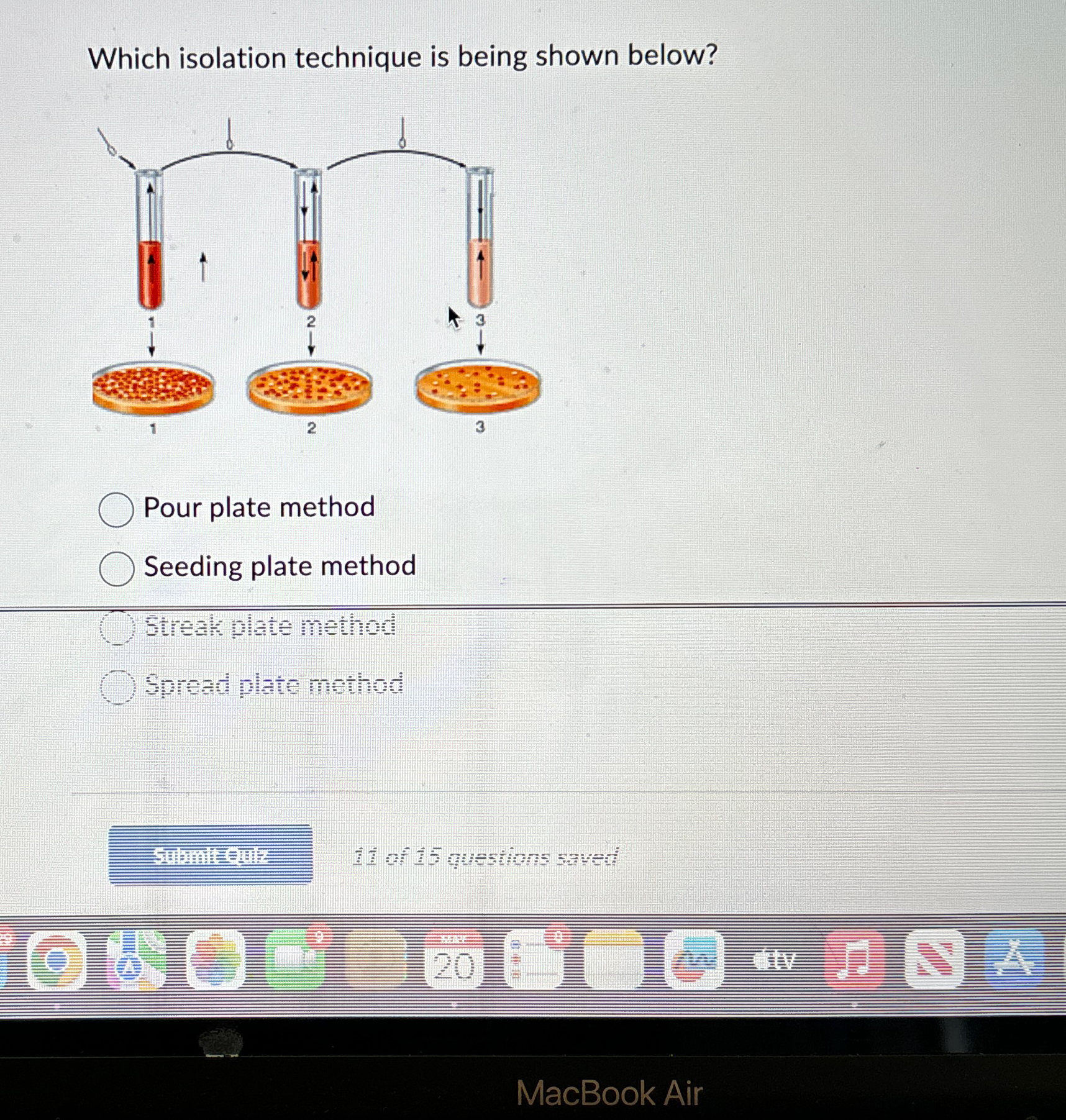 Solved Which isolation technique is being shown below?Pour | Chegg.com