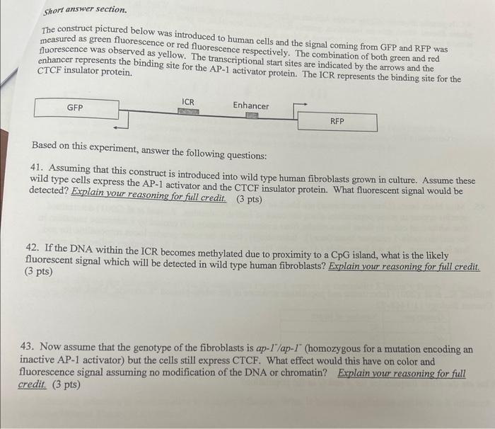 Short answer section. The construct pictured below | Chegg.com