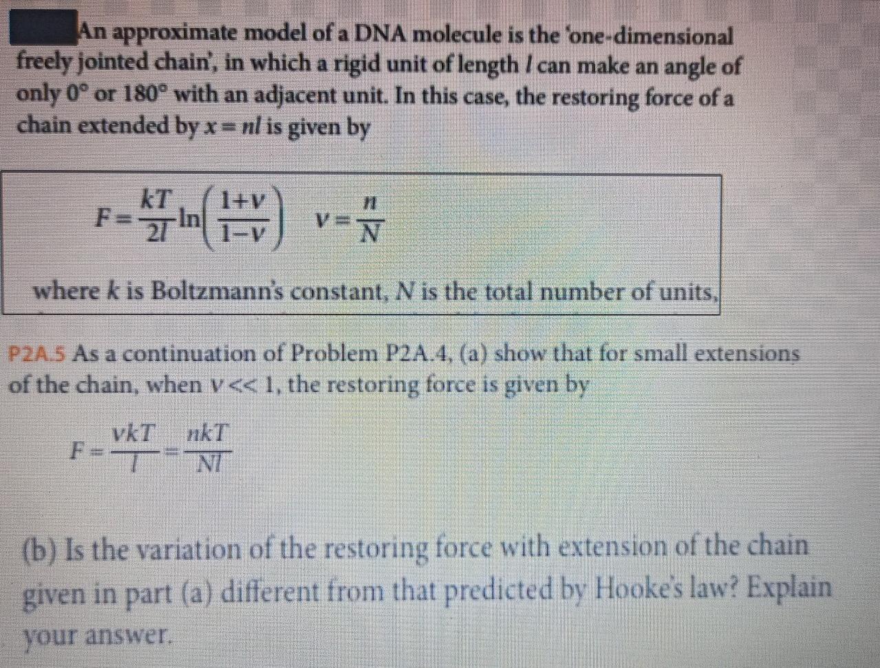 Solved An approximate model of a DNA molecule is the | Chegg.com