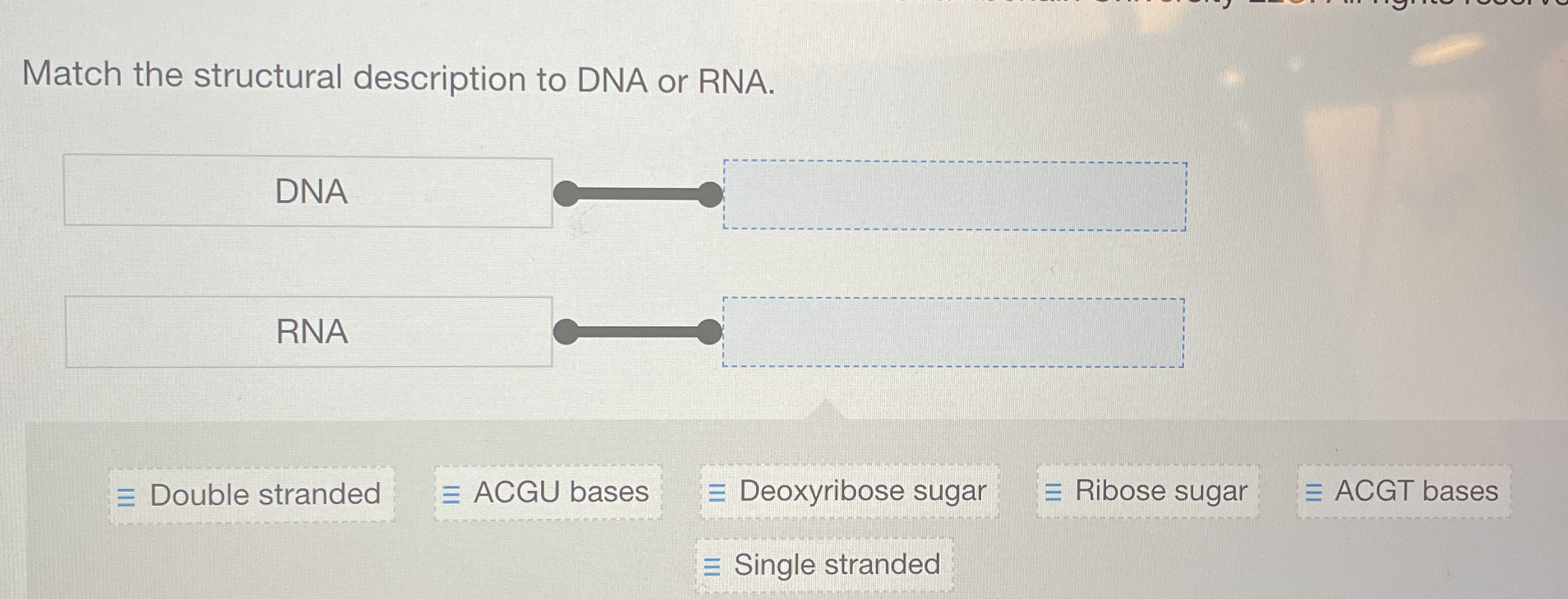 Solved Match the structural description to DNA or RNA.