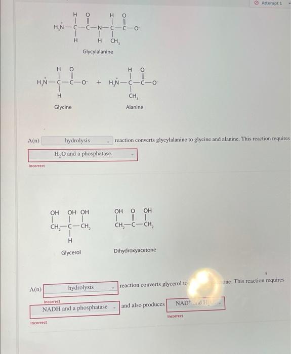 Solved For each pair of biomolecules, identify the type of