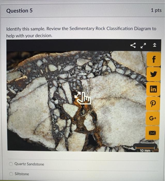 Question 5 1 pts Identify this sample. Review the Sedimentary Rock Classification Diagram to help with your decision. f in 10