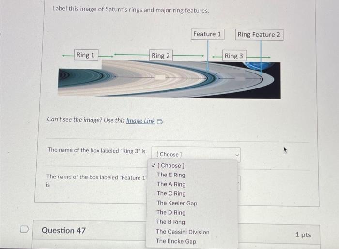 Solved Label this image of Saturn's rings and major ring | Chegg.com