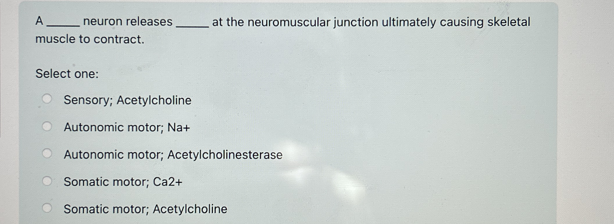 Solved A ﻿neuron releases ﻿at the neuromuscular junction | Chegg.com