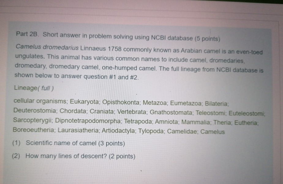 problem solving ncbi