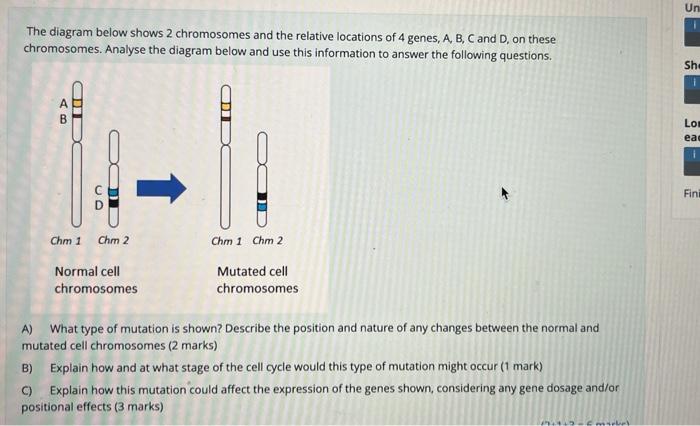 Solved The diagram below shows 2 chromosomes and the | Chegg.com