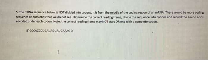 Solved 5. The mRNA sequence below is NOT divided into | Chegg.com