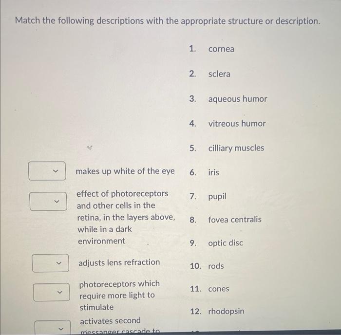 Solved Match the following descriptions with the appropriate | Chegg.com