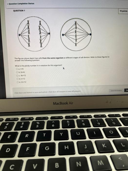 Solved Question Completion Status: QUESTION 1 10 points The | Chegg.com