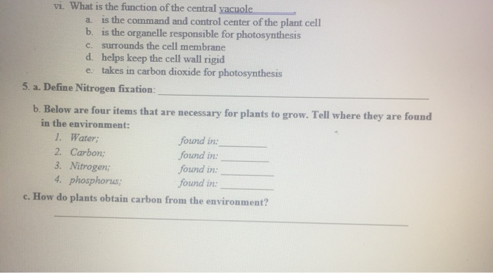 Vi What Is The Function Of The Central Vacuole A Is Chegg Com