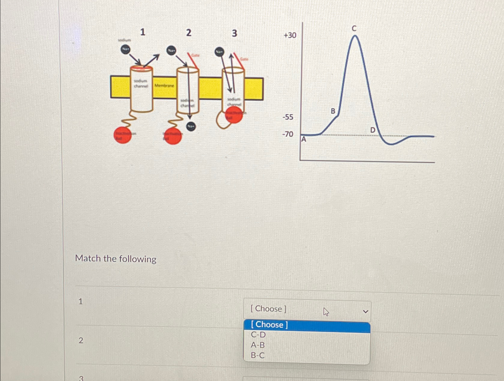 Solved Match the following1[Choose][Choose]2C-DA-BB-C | Chegg.com