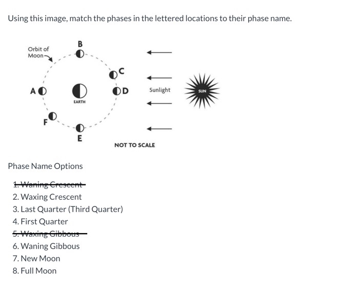 Solved Using this image, match the phases in the lettered | Chegg.com