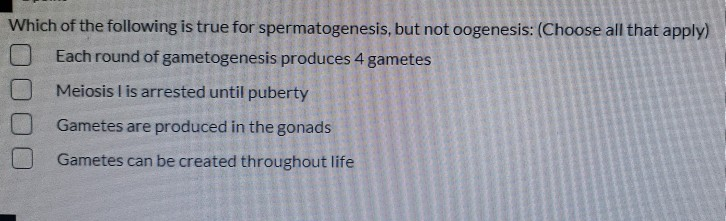 Solved Which Of The Following Is True For Spermatogenesis, | Chegg.com Solved Which Of The Following Is True For Spermatogenesis, | Chegg.com