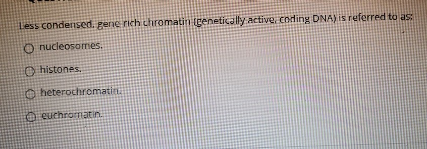 Which Of The Following Is Not A Pyrimidine Solved Which of the following is NOT a pyrimidine base? | Chegg.com