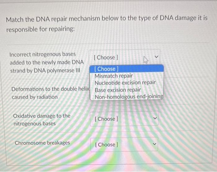 Solved Match the DNA repair mechanism below to the type of | Chegg.com