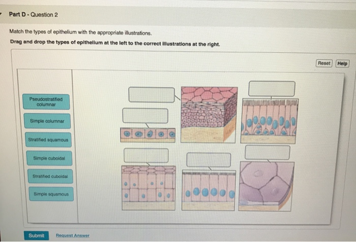 Solved Part A- Question 1, part 1 Fill in the blanks in the | Chegg.com