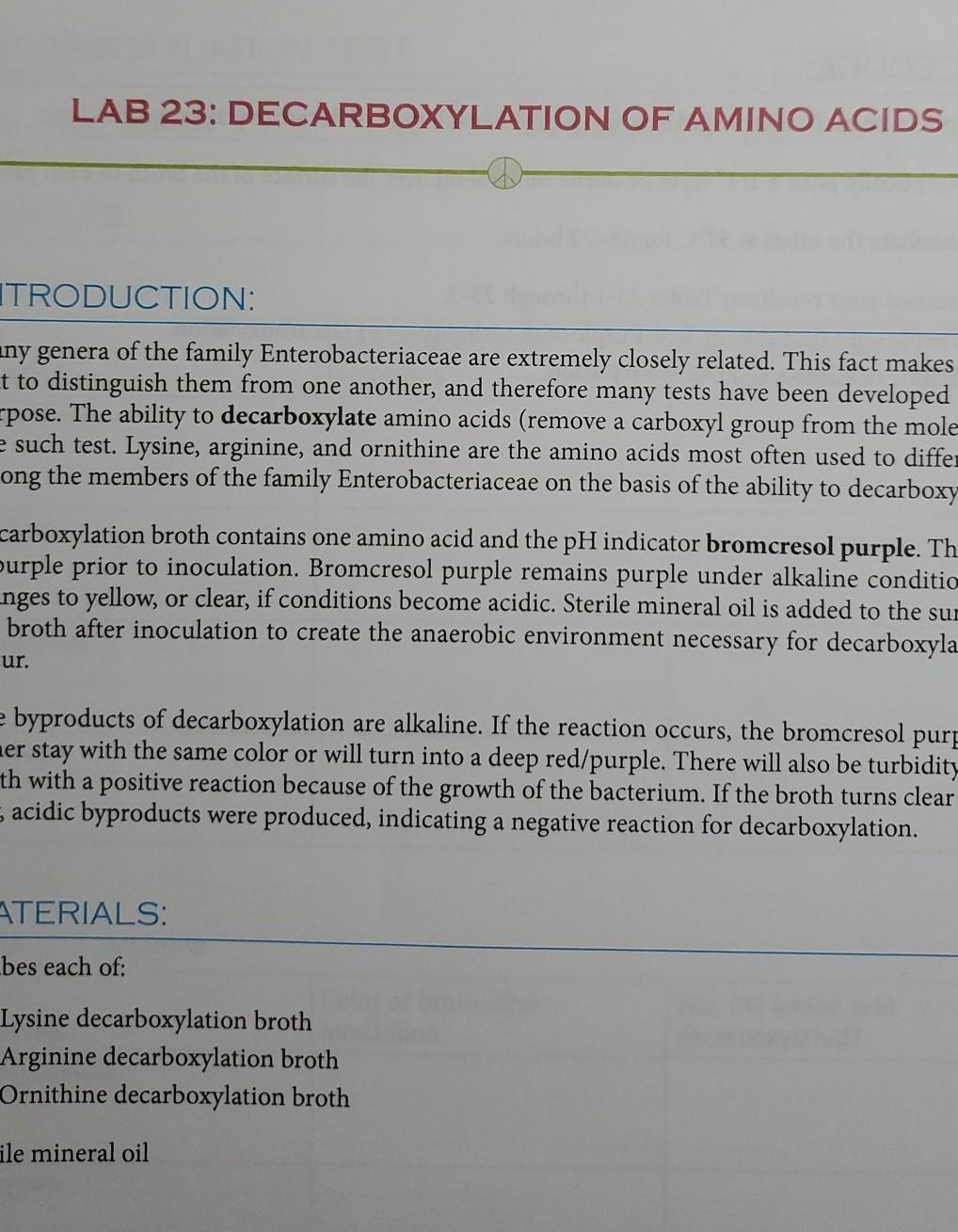 Solved LAB 23 DECARBOXYLATION OF AMINO ACIDS ITRODUCTION