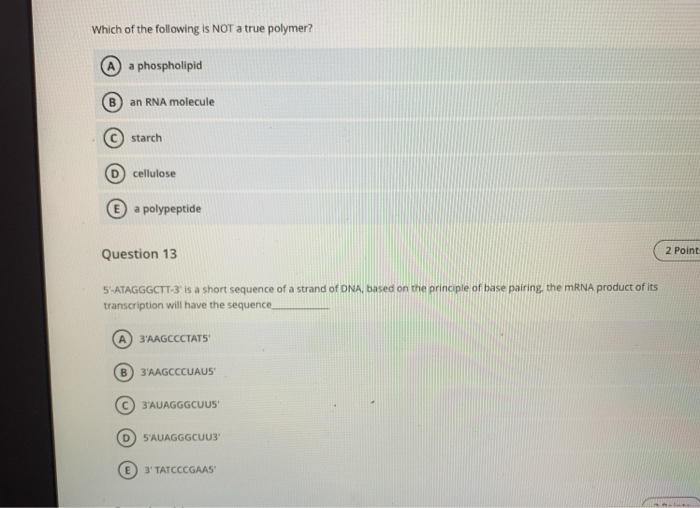 which of the following molecule is not polymer molecule