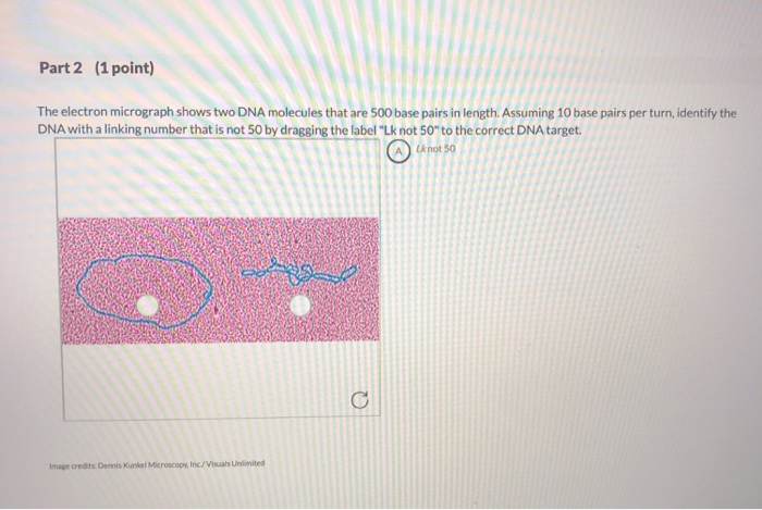 Solved 15 Question (2 points) 1st attempt Part 1 (1 point) | Chegg.com