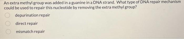 Solved Which type of DNA mutation results in a change in | Chegg.com