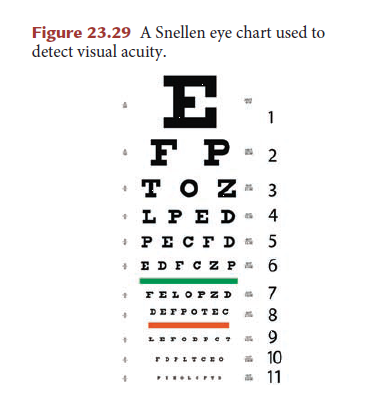 Eye Chart Size And Distance