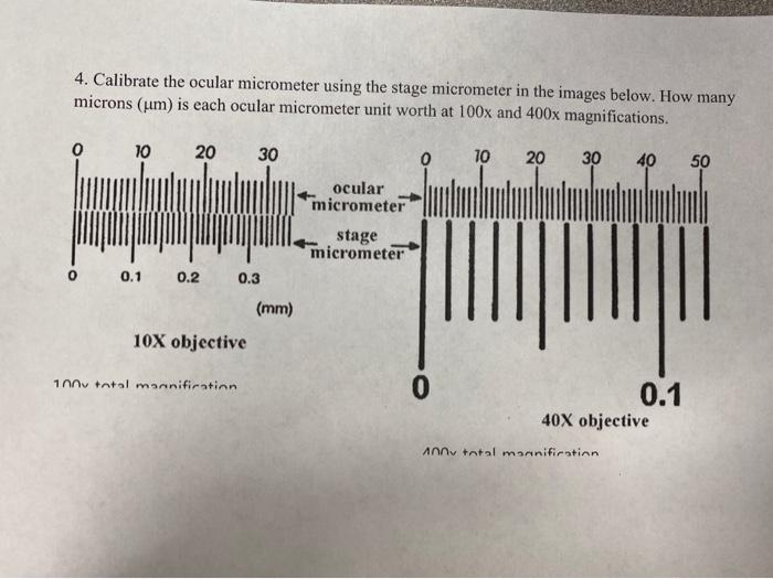 Solved 4. Calibrate the ocular micrometer using the stage