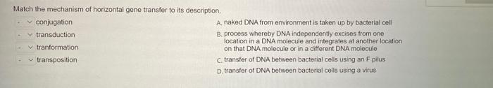 Solved Match the mechanism of horizontal gene transfer to | Chegg.com
