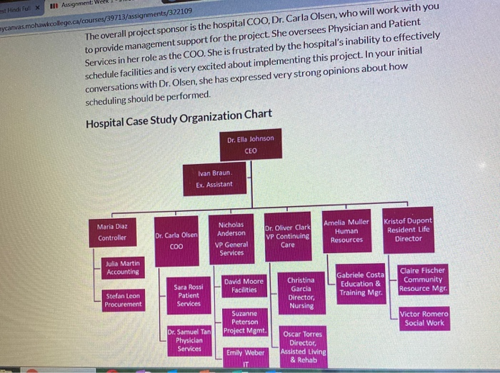 all Assignment mycanvas.mohawkcollege.ca/courses/39713/assignments/322109 The overall project sponsor is the hospital COO, Dr