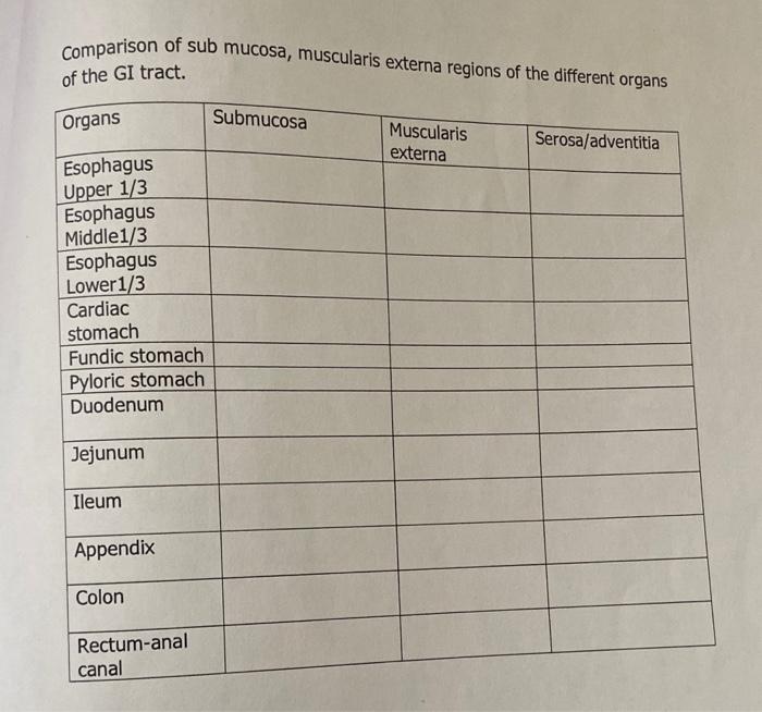 Solved comparison of sub mucosa, muscularis externa regions | Chegg.com