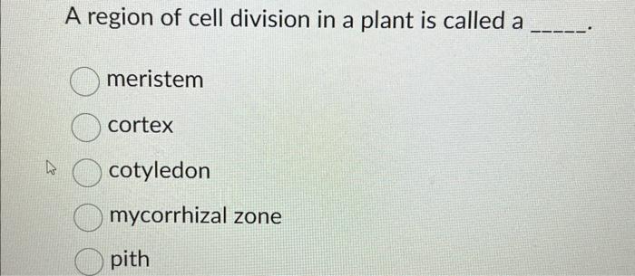 A region of cell division in a plant is called a meristem cortex cotyledon mycorrhizal zone pith