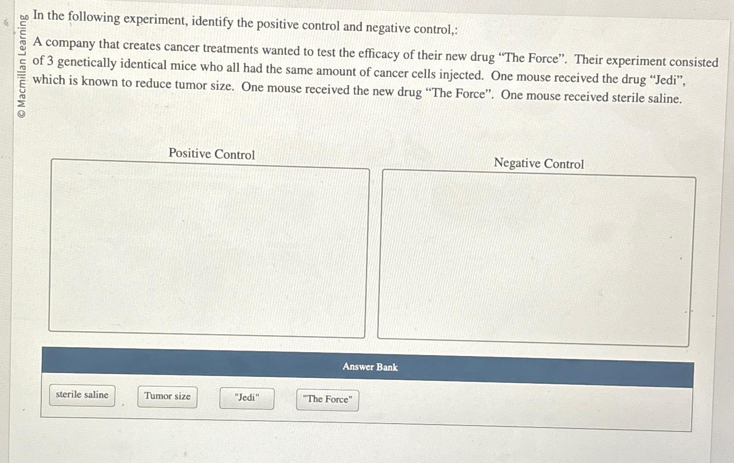 positive vs negative control in experiment