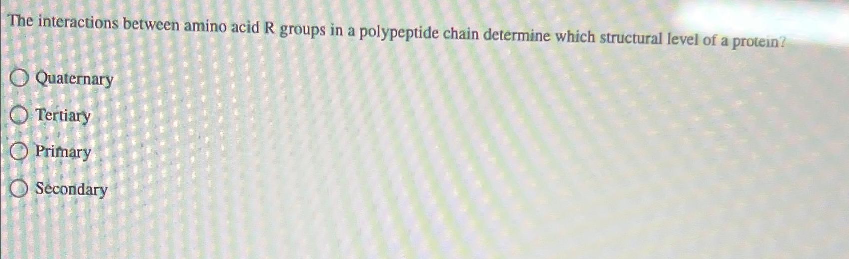 Solved The interactions between amino acid R ﻿groups in a