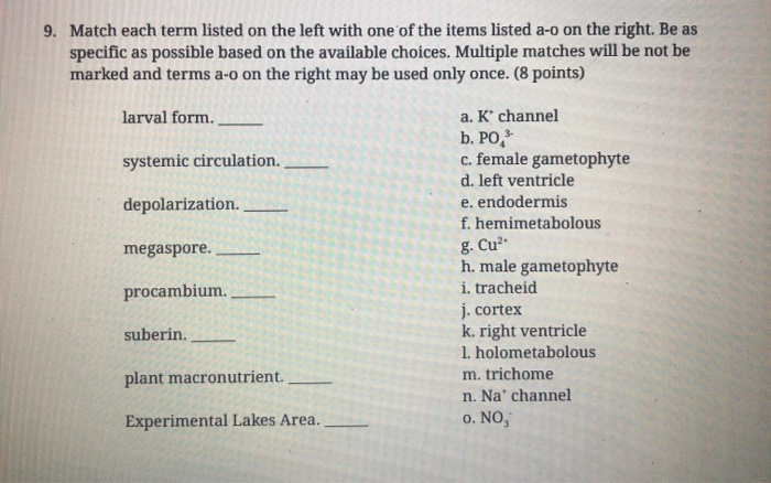 Solved 9. Match each term listed on the left with one of the | Chegg.com