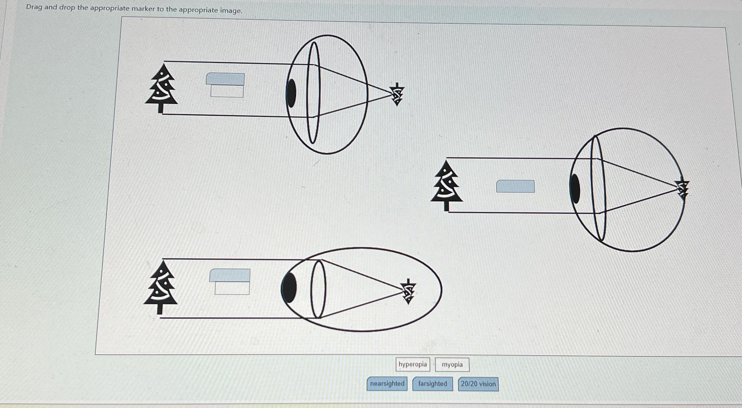 Solved Drag and drop the appropriate marker to the | Chegg.com
