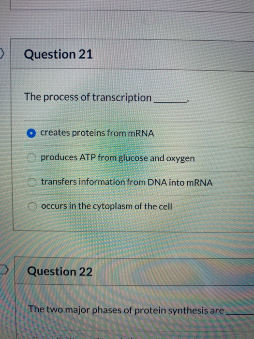 Solved Question 21 The process of transcription O creates | Chegg.com