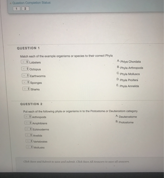 Solved Question Completion Status: 1 2 QUESTION 1 Match each | Chegg.com